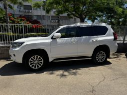 TOYOTA LAND CRIZER 2019 luxury